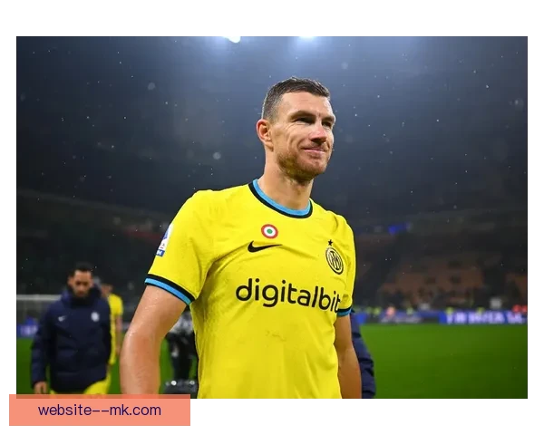 哲科自由转会加盟国际米兰助力球队锋线实力提升