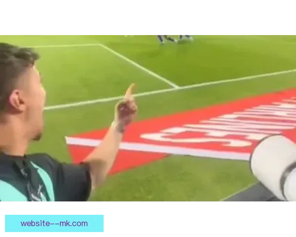 特奥在意甲主场上演长途奔袭一条龙破门精彩瞬间